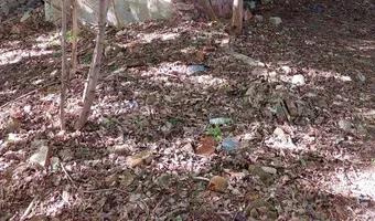 Zdjęcie opuszczonego miejsca: Opuszczony budynek , Gdynia Cisowa