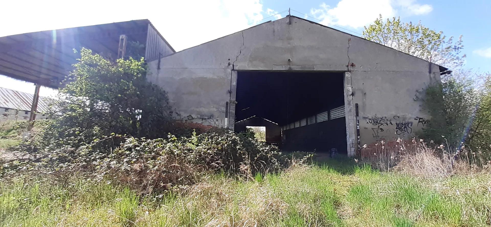 Zdjęcie opuszczonego miejsca: Puszczony hangar