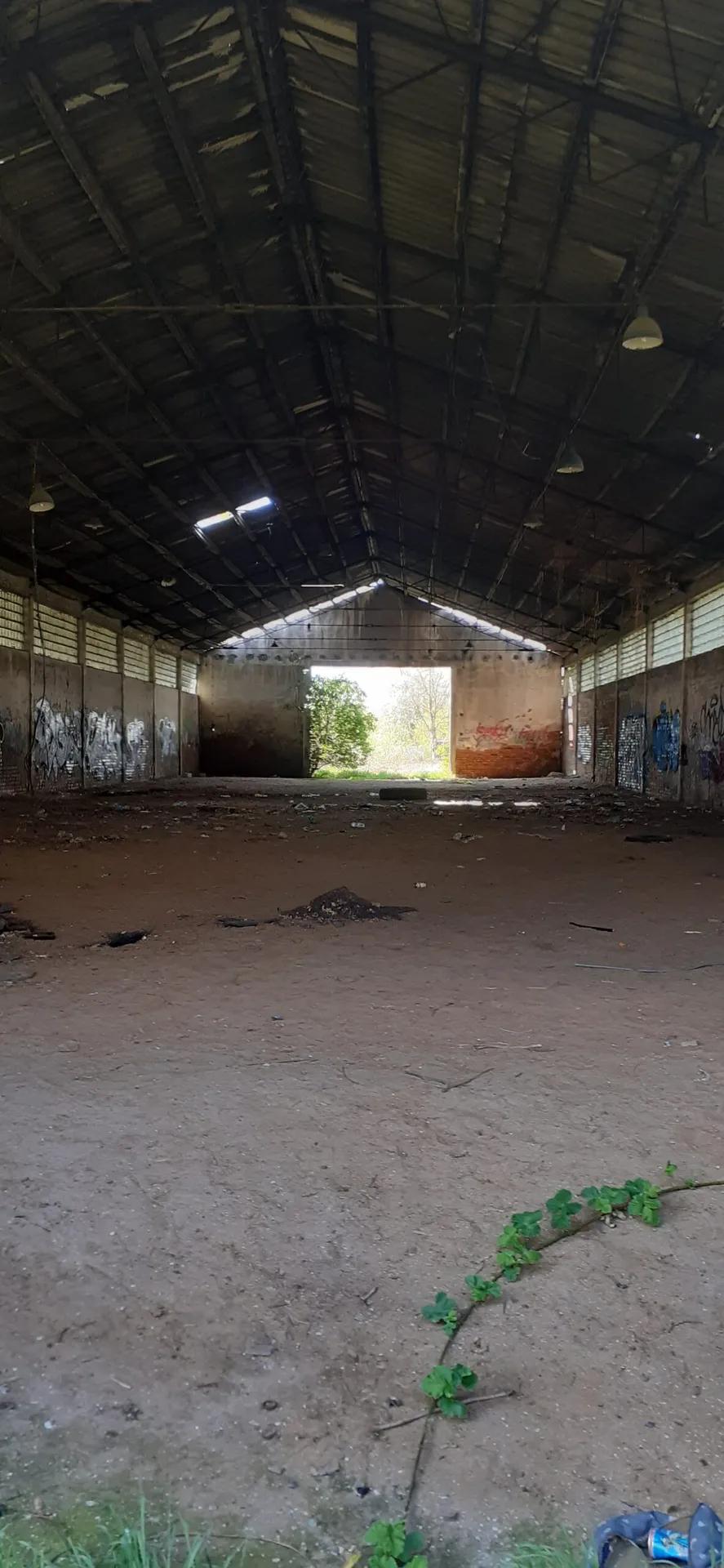 Zdjęcie opuszczonego miejsca: Puszczony hangar