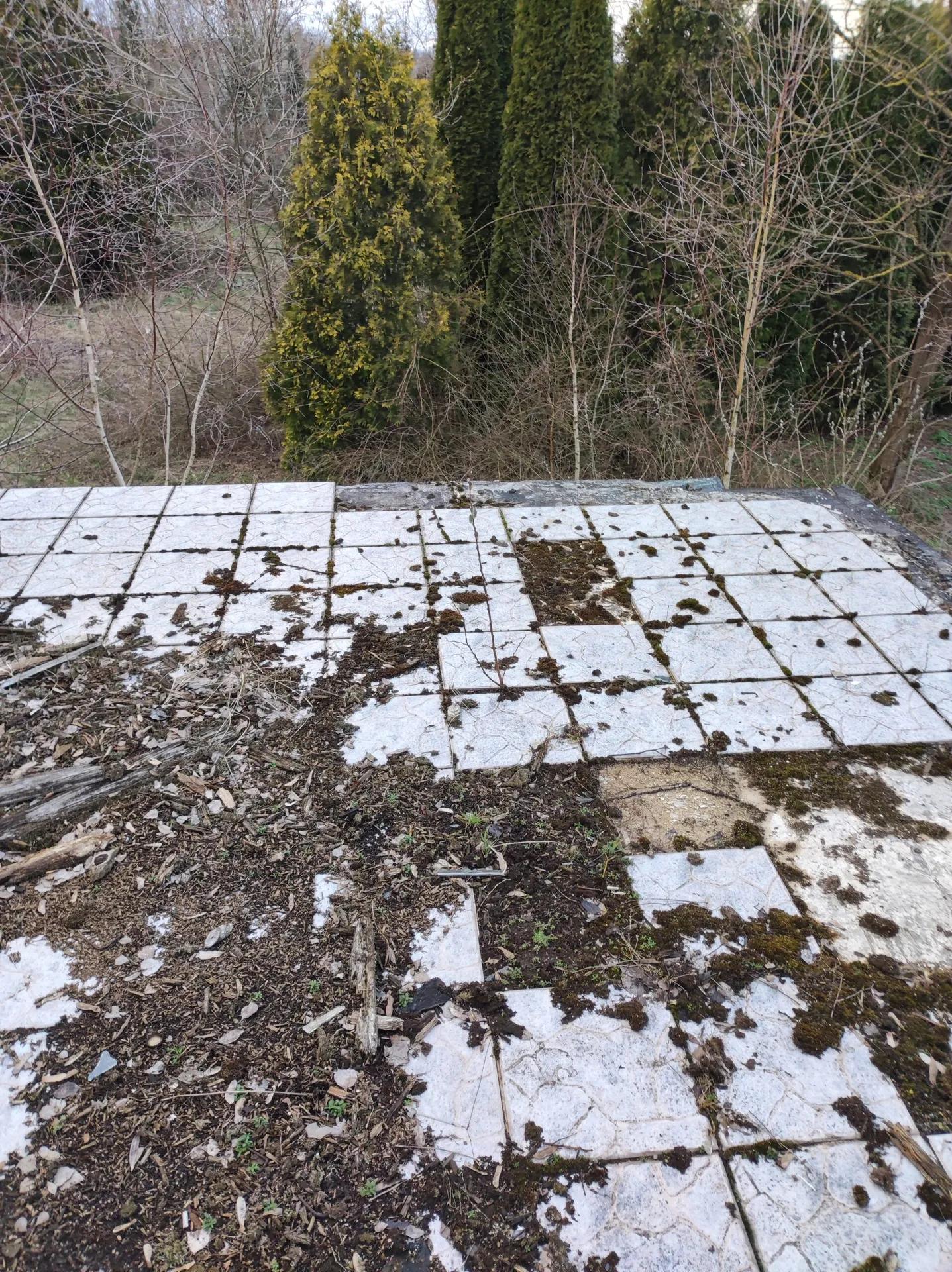 Zdjęcie opuszczonego miejsca: Dom Kulawego gangstera