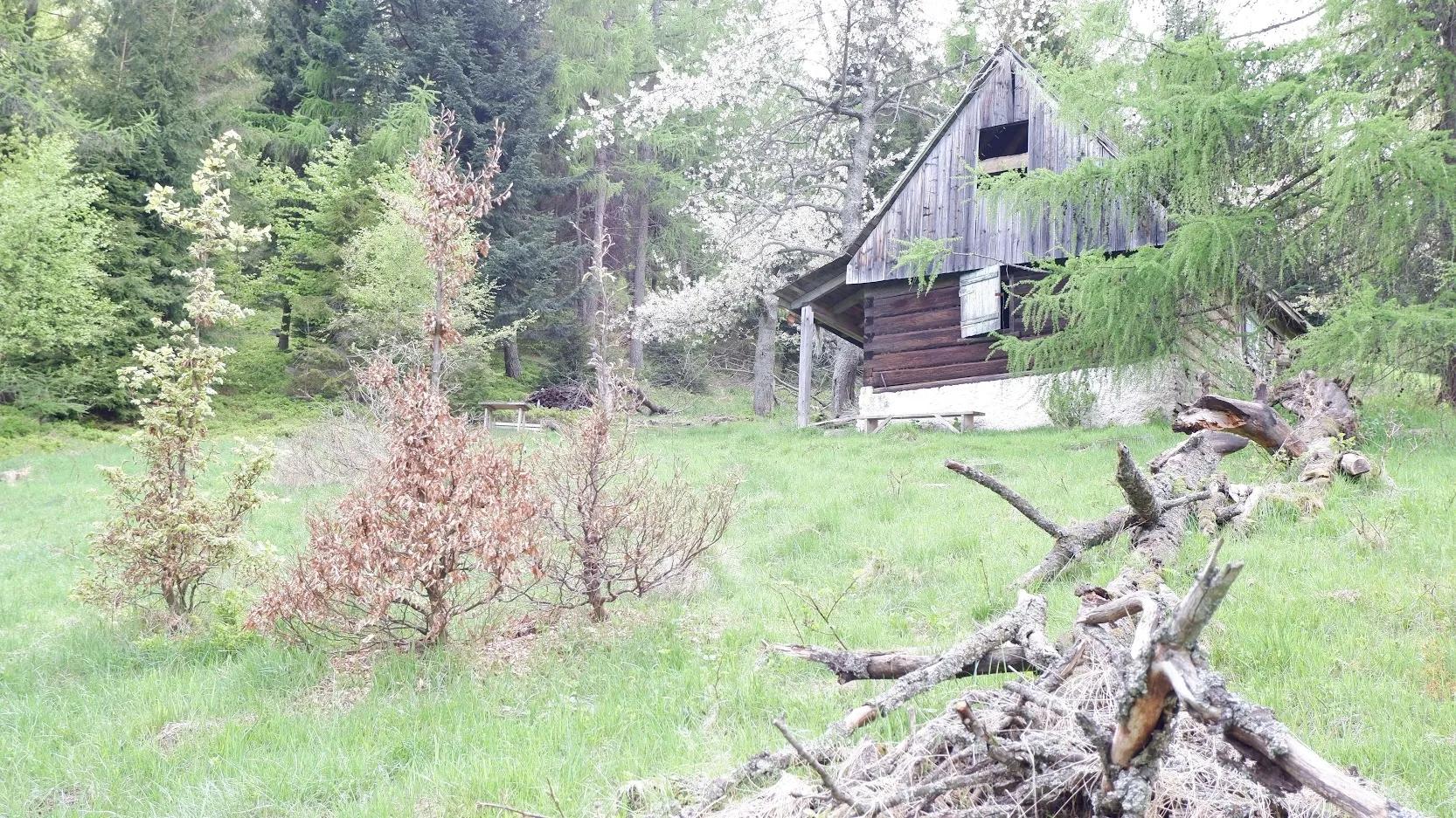 Zdjęcie opuszczonego miejsca: Dom przy szlaku