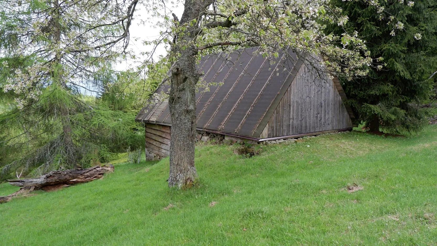 Zdjęcie opuszczonego miejsca: Dom przy szlaku