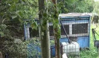 Zdjęcie opuszczonego miejsca: Stare pole kempingowe, Gdańsk