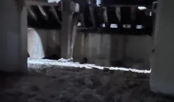 Zdjęcie opuszczonego miejsca: Starogardzkie Młyny, Starogard Gdaski