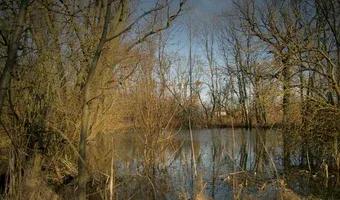 Zdjęcie opuszczonego miejsca: Zabytkowy dworek - Rębowo, Gdańsk