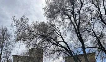 Zdjęcie opuszczonego miejsca: Pałac Stolbergów