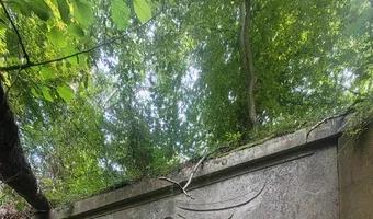 Zdjęcie opuszczonego miejsca: Przedwojenny przepust kolejowy