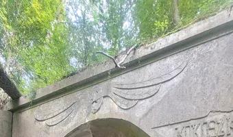 Zdjęcie opuszczonego miejsca: Przedwojenny przepust kolejowy