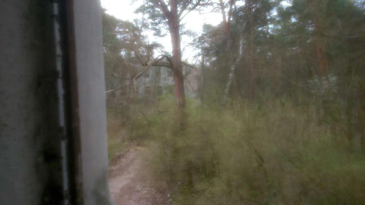 Zdjęcie opuszczonego miejsca: Zakład dla Nerwowo i Psychicznie Chorych Żydów „Zofiówka”