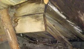 Zdjęcie opuszczonego miejsca: Niedokończony budynek Świrskiego Siedlce