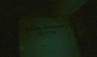 Zdjęcie opuszczonego miejsca: Dwór w Radzanowie