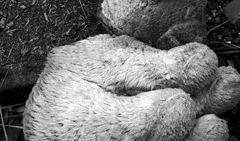 Zdjęcie opuszczonego miejsca: huta metali nieżelaznych , katowice