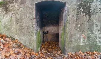 Zdjęcie opuszczonego miejsca: Schron U7 IIa
