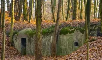 Zdjęcie opuszczonego miejsca: Schron U7 IIa