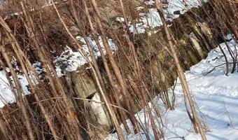 Zdjęcie opuszczonego miejsca: Fort piechoty 7