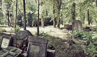 Zdjęcie opuszczonego miejsca: Opuszczony cmentarz na samotnej