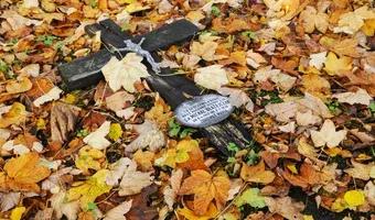 Zdjęcie opuszczonego miejsca: Opuszczony cmentarz na samotnej