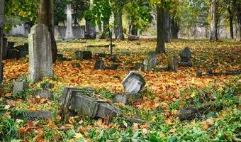 Zdjęcie opuszczonego miejsca: Opuszczony cmentarz na samotnej