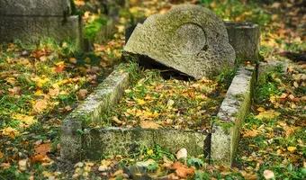 Zdjęcie opuszczonego miejsca: Opuszczony cmentarz na samotnej