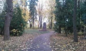 Zdjęcie opuszczonego miejsca: Opuszczony cmentarz na samotnej