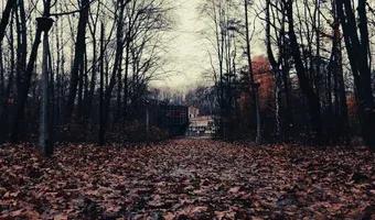 Zdjęcie opuszczonego miejsca: Willa Nikity Chruszczowa