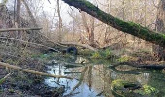 Zdjęcie opuszczonego miejsca: Ruiny młynu