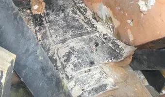 Zdjęcie opuszczonego miejsca: Egipteka