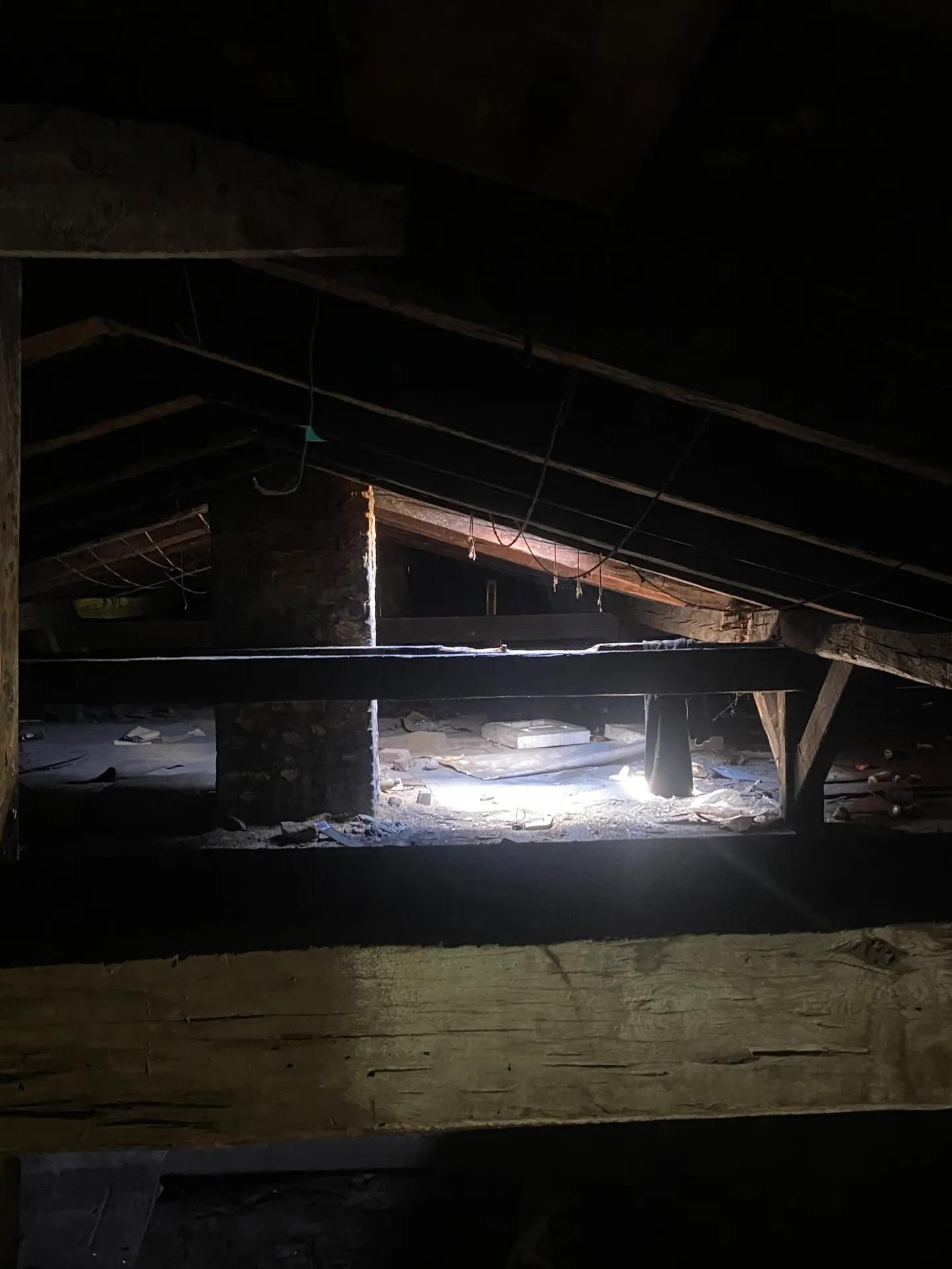 Zdjęcie opuszczonego miejsca: opuszczone kamienica wełnowcu