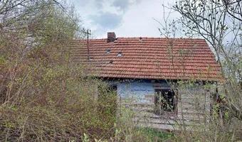 Zdjęcie opuszczonego miejsca: Opuszczona chata z musztardą