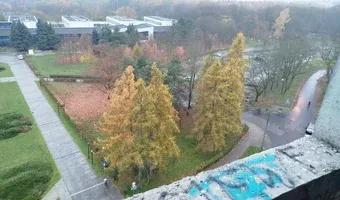 Zdjęcie opuszczonego miejsca: Czyżyński szkieletor