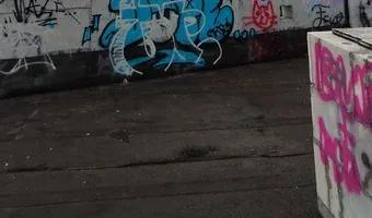 Zdjęcie opuszczonego miejsca: Czyżyński szkieletor