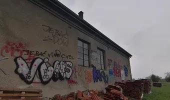 Zdjęcie opuszczonego miejsca: Opuszczony dom z mniejszym budynkiem