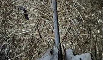 Zdjęcie opuszczonego miejsca: Opuszczone gospodarstwo i spalony domSady Opolskie