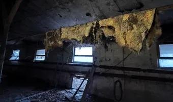 Zdjęcie opuszczonego miejsca: Opuszczone gospodarstwo i spalony domSady Opolskie