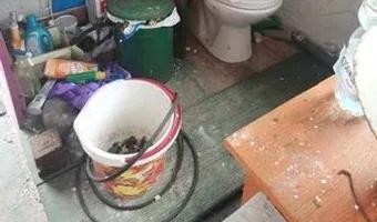 Zdjęcie opuszczonego miejsca: Papiernia i fabryka kafli - pudlingarnia