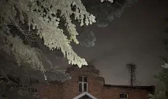 Zdjęcie opuszczonego miejsca: Zarośnięty dom z wyposażeniem