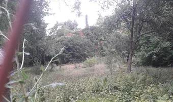 Zdjęcie opuszczonego miejsca: Zarośnięty dom z wyposażeniem