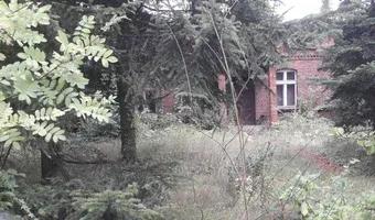 Zdjęcie opuszczonego miejsca: Zarośnięty dom z wyposażeniem