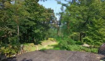 Zdjęcie opuszczonego miejsca: Fort pancerny pomocniczy 53a „Winnica”