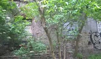 Zdjęcie opuszczonego miejsca: Dawne koszary tak zwany "straszny dwór"