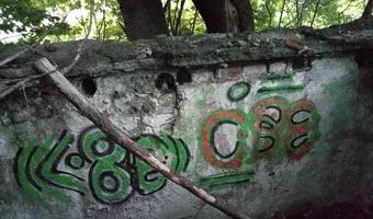 Zdjęcie opuszczonego miejsca: Tajemnicza ruina obok osiedla