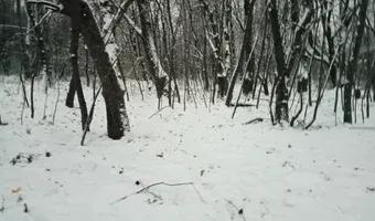 Zdjęcie opuszczonego miejsca: Tajemnicza ruina obok osiedla