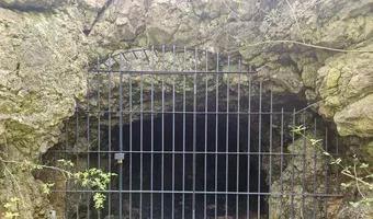 Zdjęcie opuszczonego miejsca: Sztolnie w masywie wapiennym Krzemionek Podgórskich