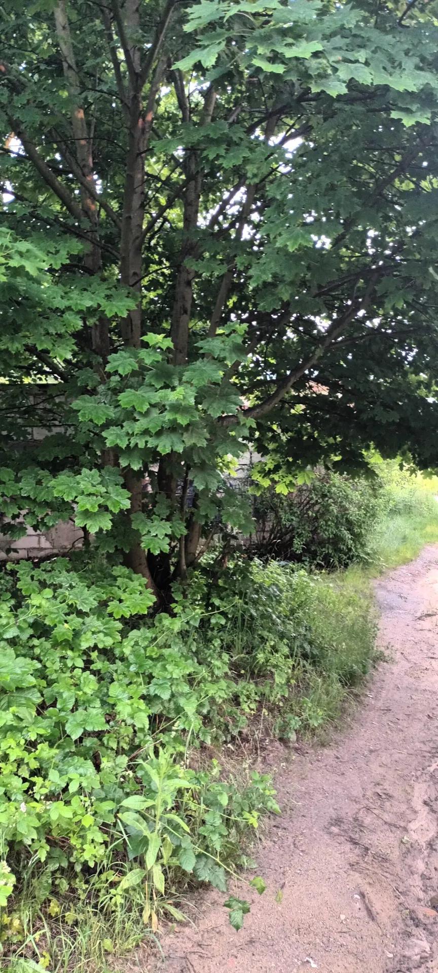 Zdjęcie opuszczonego miejsca: Opuszczony domek