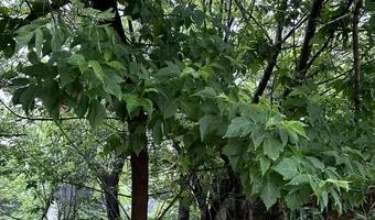 Zdjęcie opuszczonego miejsca: Opuszczone domki