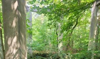 Zdjęcie opuszczonego miejsca: Ruiny elektrowni , Nowe Czaple