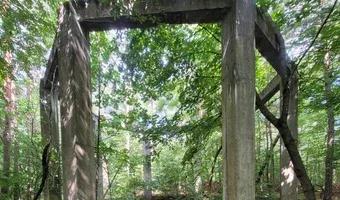 Zdjęcie opuszczonego miejsca: Ruiny elektrowni , Nowe Czaple