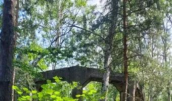 Zdjęcie opuszczonego miejsca: Ruiny elektrowni , Nowe Czaple