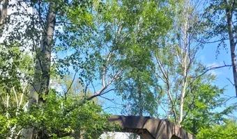 Zdjęcie opuszczonego miejsca: Ruiny elektrowni , Nowe Czaple