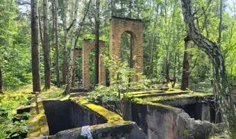 Zdjęcie opuszczonego miejsca: Ruiny elektrowni , Nowe Czaple